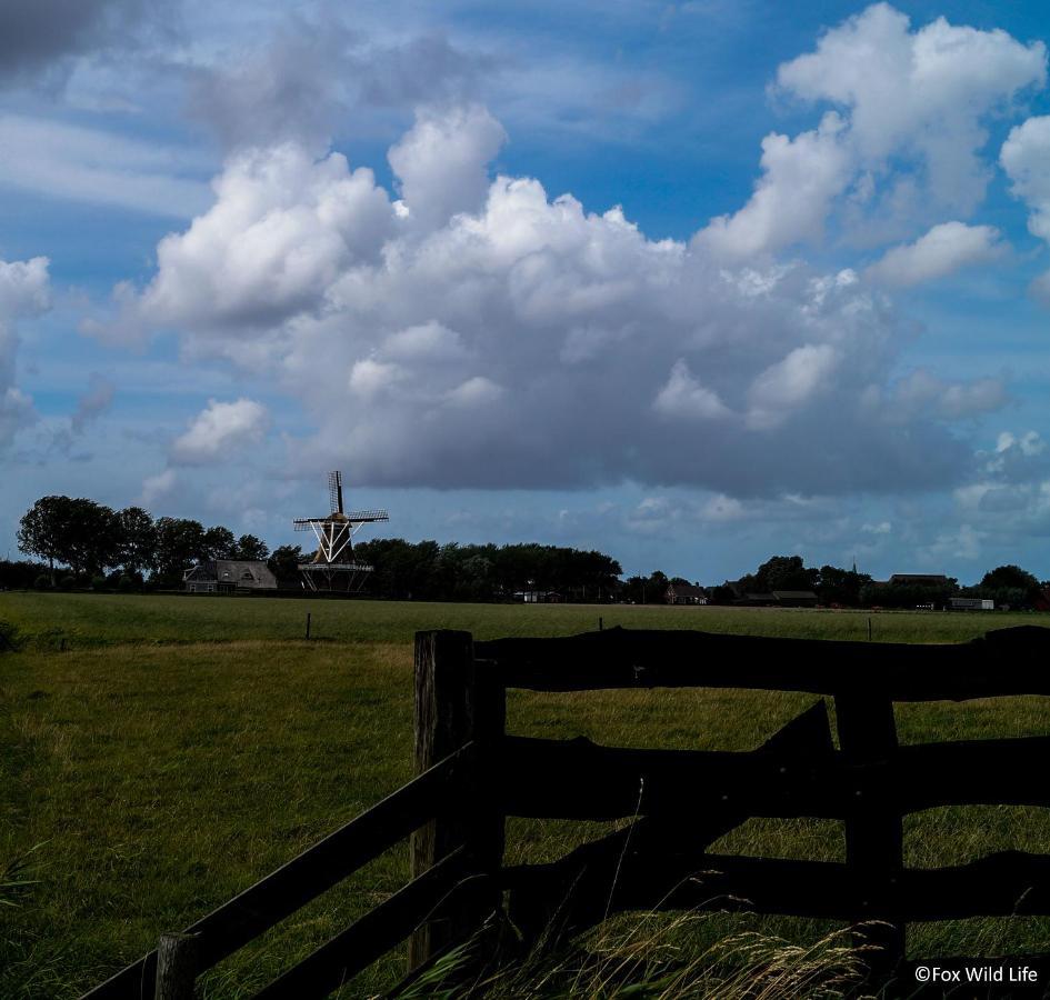 The Wee White Hoose Bed & Breakfast Oosternijkerk Exterior photo