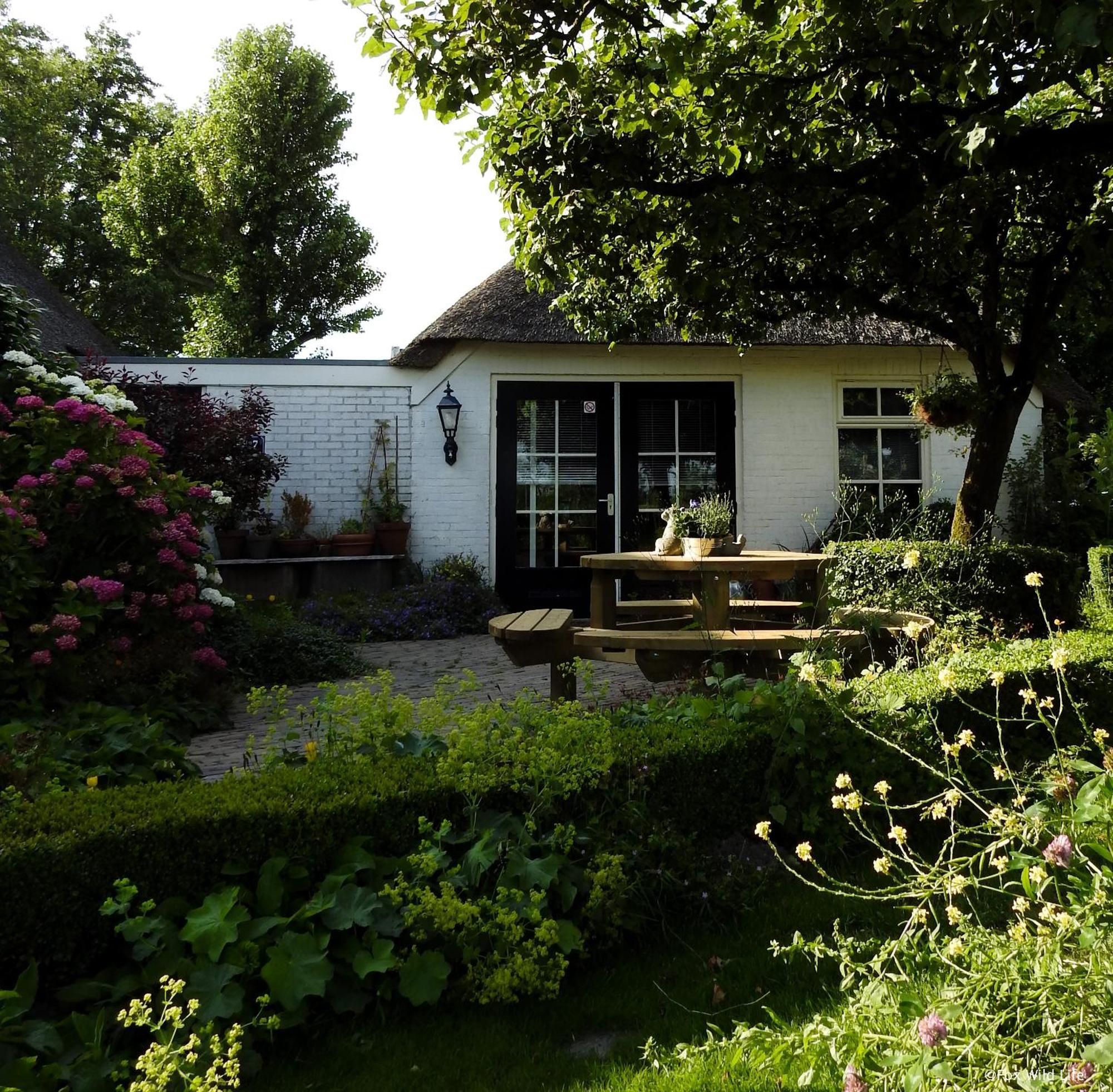 The Wee White Hoose Bed & Breakfast Oosternijkerk Exterior photo