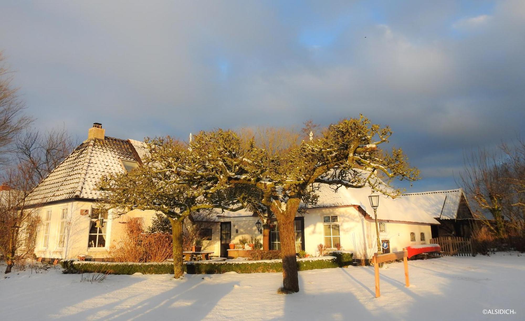 The Wee White Hoose Bed & Breakfast Oosternijkerk Exterior photo